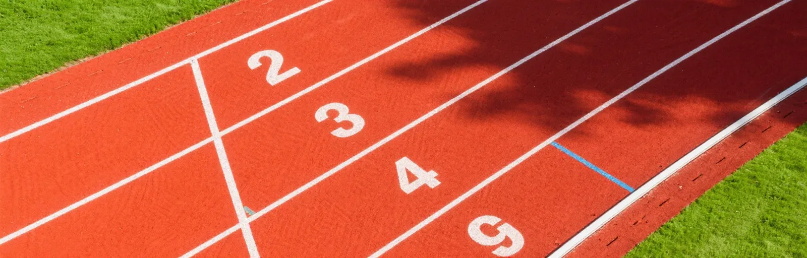 乐鱼体育 运动主题横幅